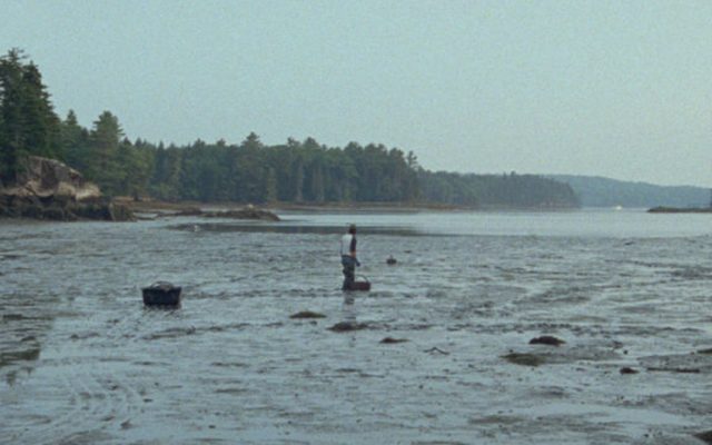 A landscape scene of a bay during low tide. The sky is pale blue and the wet mudflats reflect the colour of the sky. A figure stands on the mudflats in the middle ground, with a sled type structure behind them. A tree line of evergreen trees intersects the background.