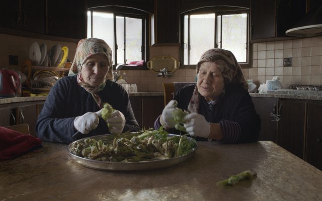 Two elderly ladies sit at a kitchen table, methodically trimming and preparing a large tray of wild herbs. They are each wearing a patterned headscarf and have white gloves on their hands. Behind there are kitchen surfaces with cupboards below, and two semi-opaque windows above that are slightly ajar.
