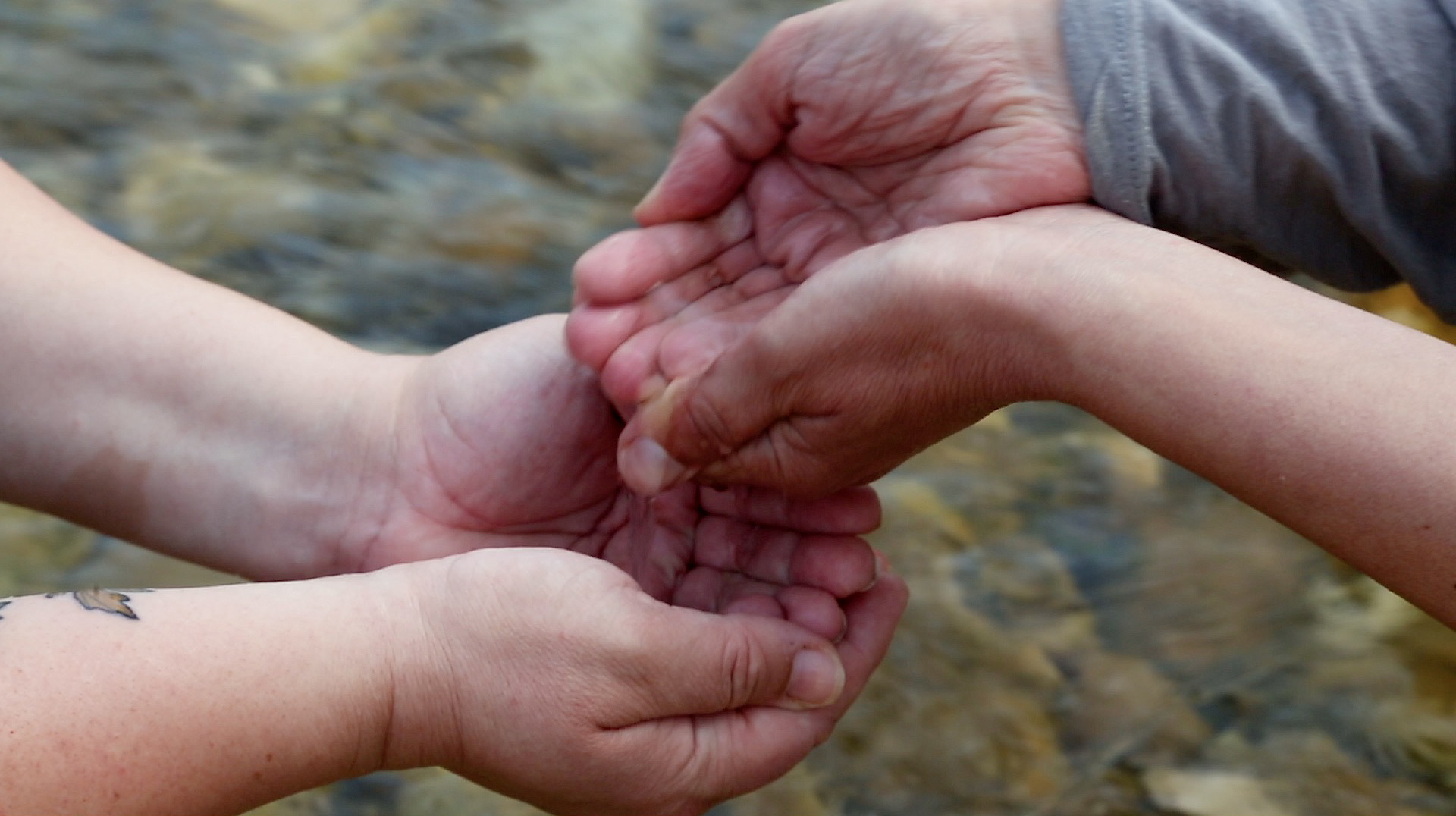 The cupped hands of two people hover over a shallow river, carefully passing river water between them.