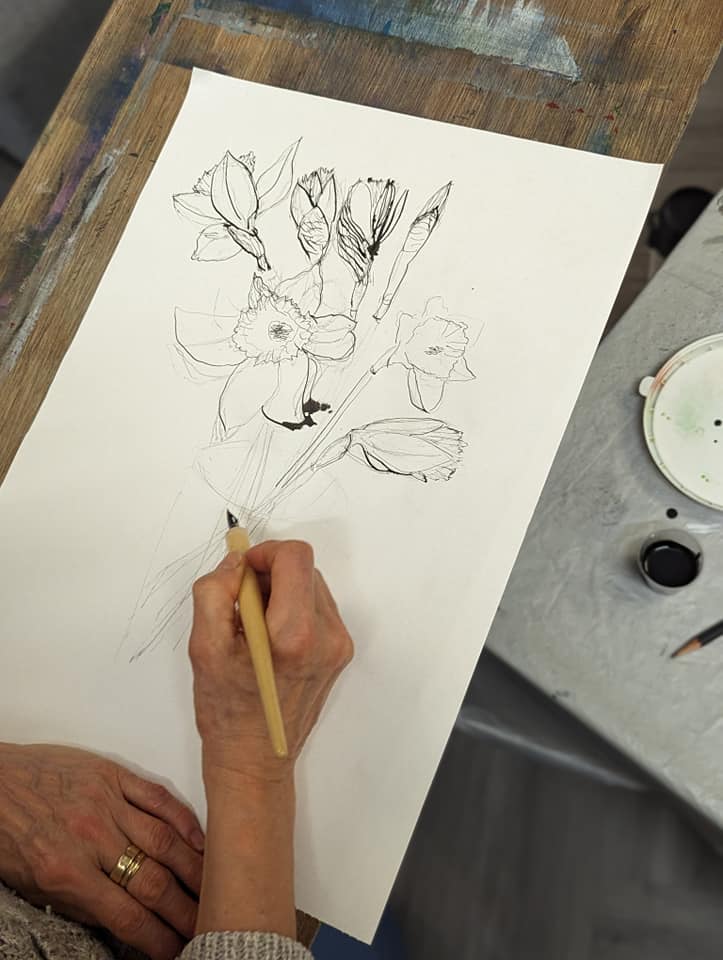 An incomplete ink drawing of daffodils. A shallow ink pot is off to one side. Hands are poised in the process of drawing.