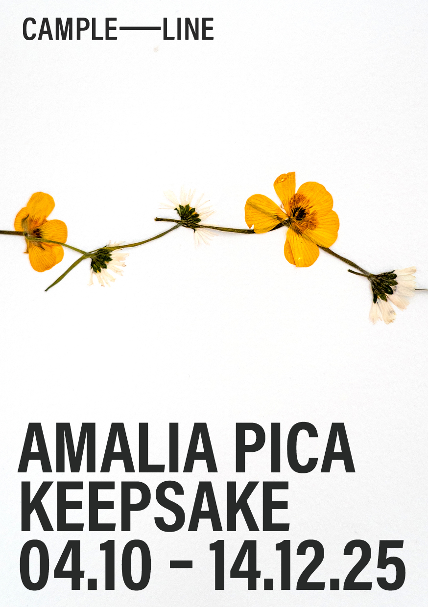 A preview card for Amalia Pica’s exhibition, ‘Keepsake’, open from the 4th of October until the 14th of December, 2025. The background is part of the art piece, ‘Daisy Chain’, part of a daisy chain made with daisies and vibrant orange flowers.