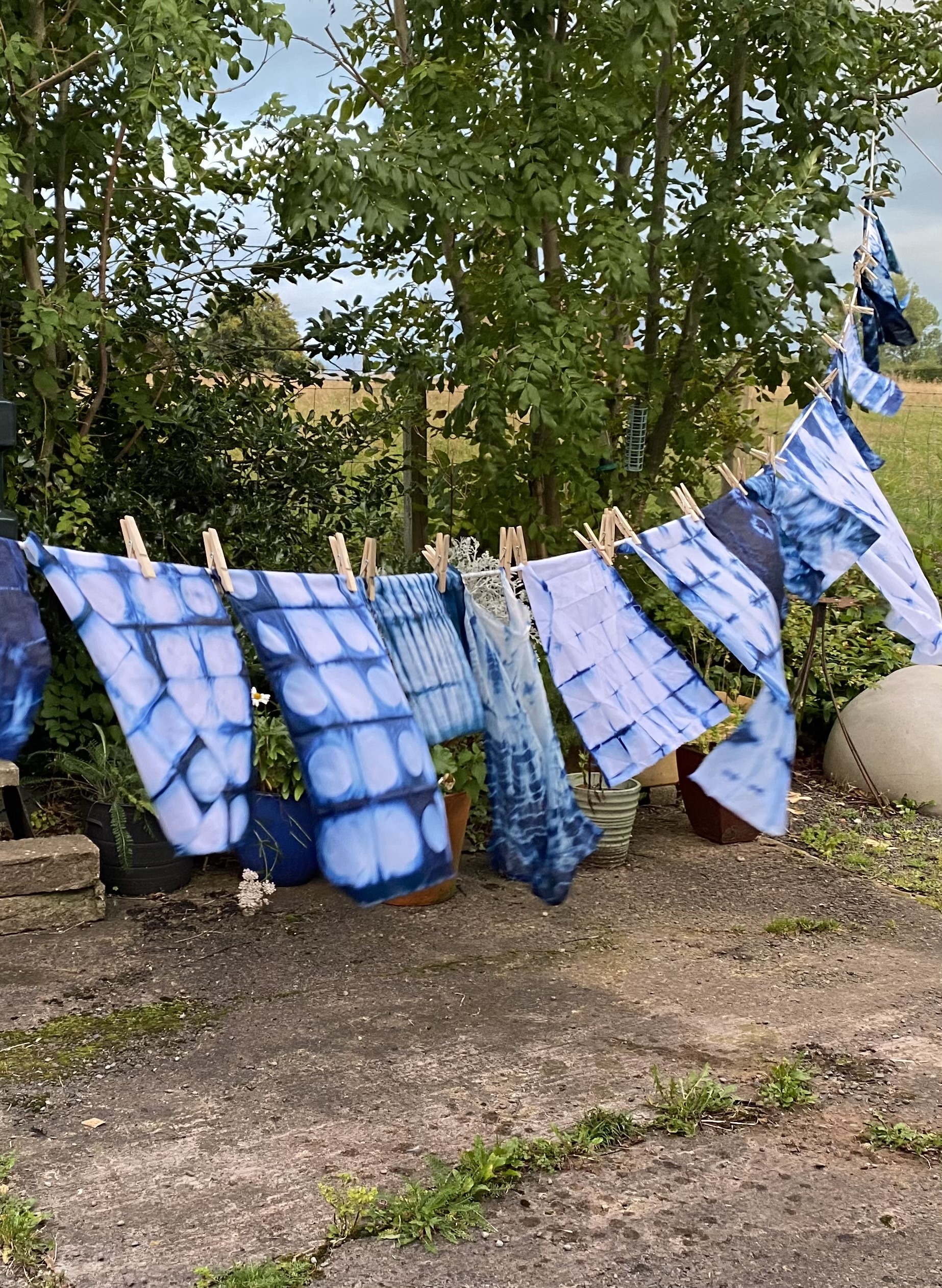 Towel-sized sheets of cotton are hung by clothespins on a washing line. They are dyed a deep indigo in different patterns.
